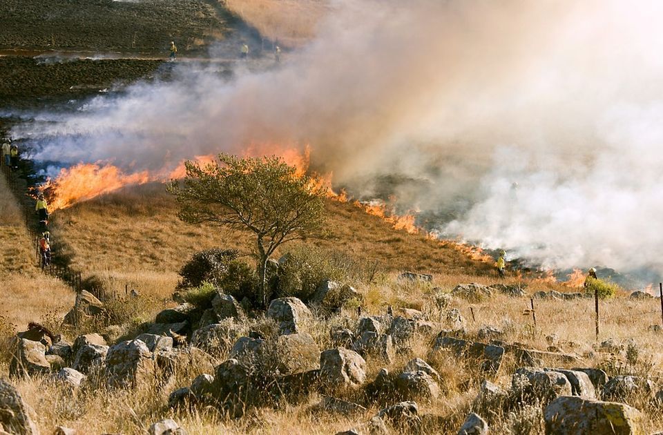 Naučnici upozoravaju na paradoks: Uspešno gašenje požara doprinosi nagomilavanju zapaljivog materijala
