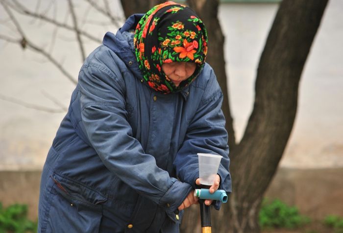 Sve više starih traži smeštaj u prihvatilištu za beskućnike u Futogu, veliki broj njih na listi čekanja