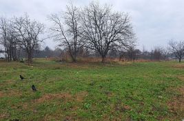 Telepčani pozvali stranke i pokrete da ih podrže u borbi za park