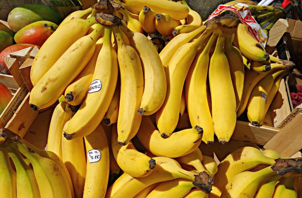 Nalepnice na bananama i drugom voću - svaka ima broj koji sadrži važnu informaciju
