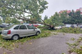 FOTO, VIDEO: Nevreme obaralo drveće, oštećeni automobili