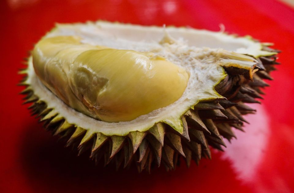 Hrana koja je zabranjena širom sveta