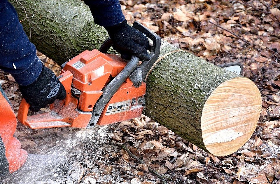 Za godinu dana bespravno je u Srbiji posečeno 24,5 hiljada kubika drva