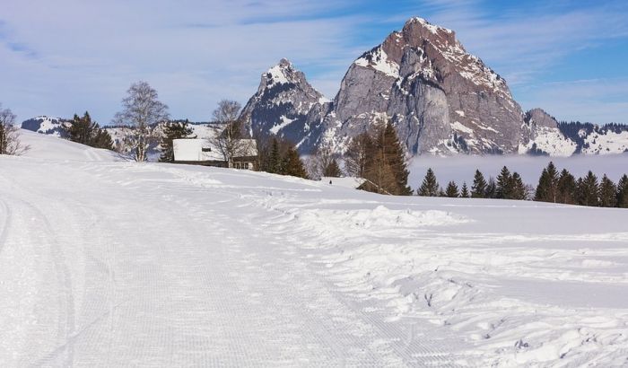 Dva mladića iz Nemačke stradala u lavini na austrijskim Alpima 