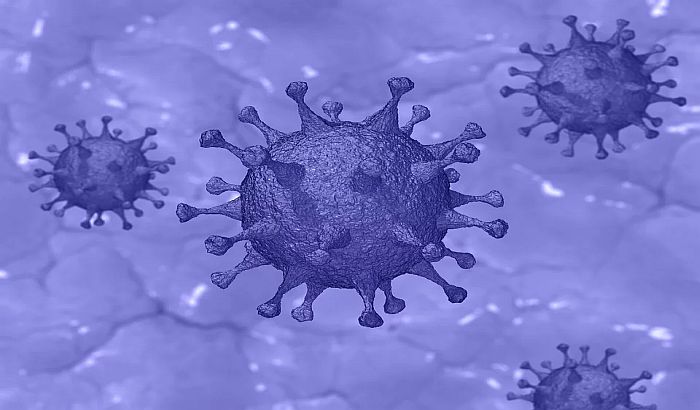 Istraživanje: Virus korona umire na temperaturi od 70 stepeni 