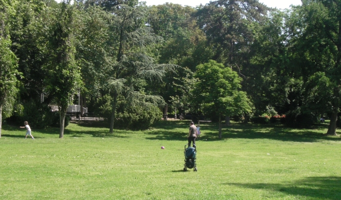 Vrhunac ozelenjavanja Novog Sada jedan novi park