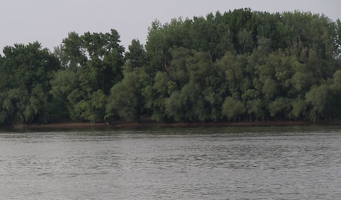 Nađeno telo žene u Dunavu kod Sremskih Karlovaca