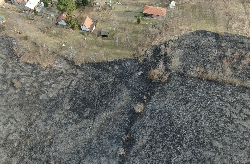 FOTO, VIDEO Snimci iz drona: Veliki požar kod Novog Sada zaustavljen na 20 metara od kuća