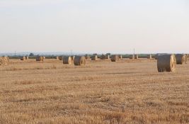 Paori iz nužde seju pšenicu i u startu gube: Između loše politike i borbe