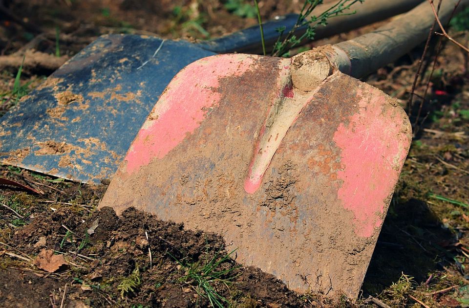 Uginule životinje zakopao kod Subotice bez znanja veterinara 