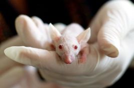 Švajcarci danas odlučuju da li će zabraniti eksperimentisanje na životinjama