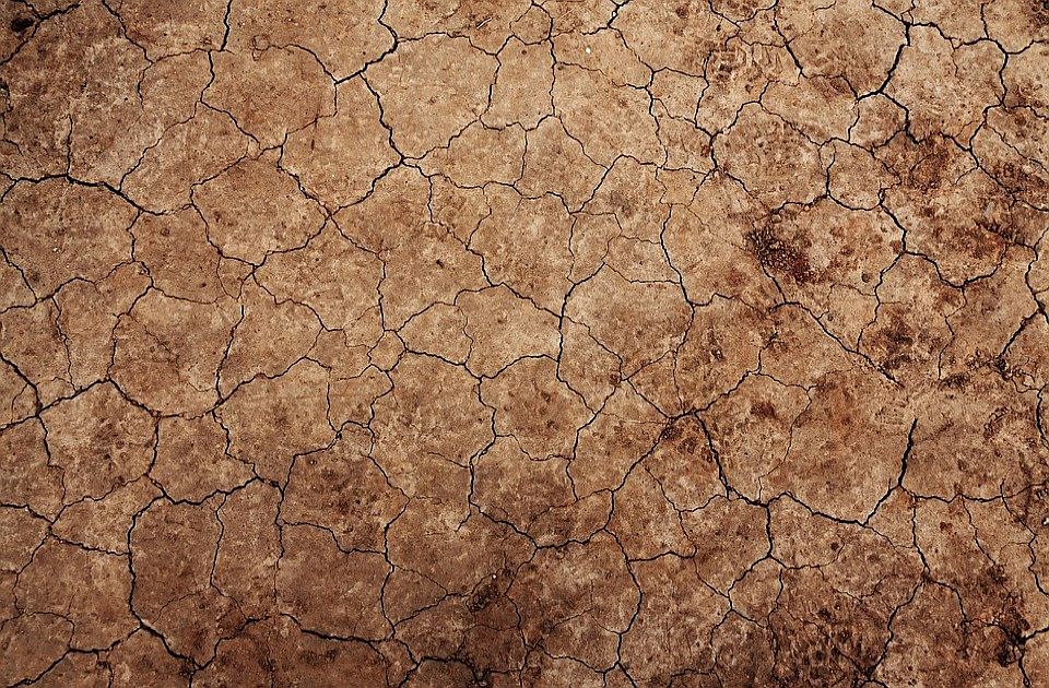 Potvrđena i druga žrtva zemljotresa u Meksiku