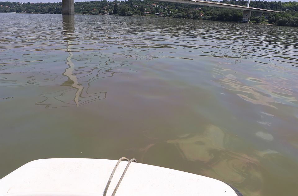 Stručnjak o efektima naftne mrlje u Dunavu: Nije preporučljivo da se kupate u reci