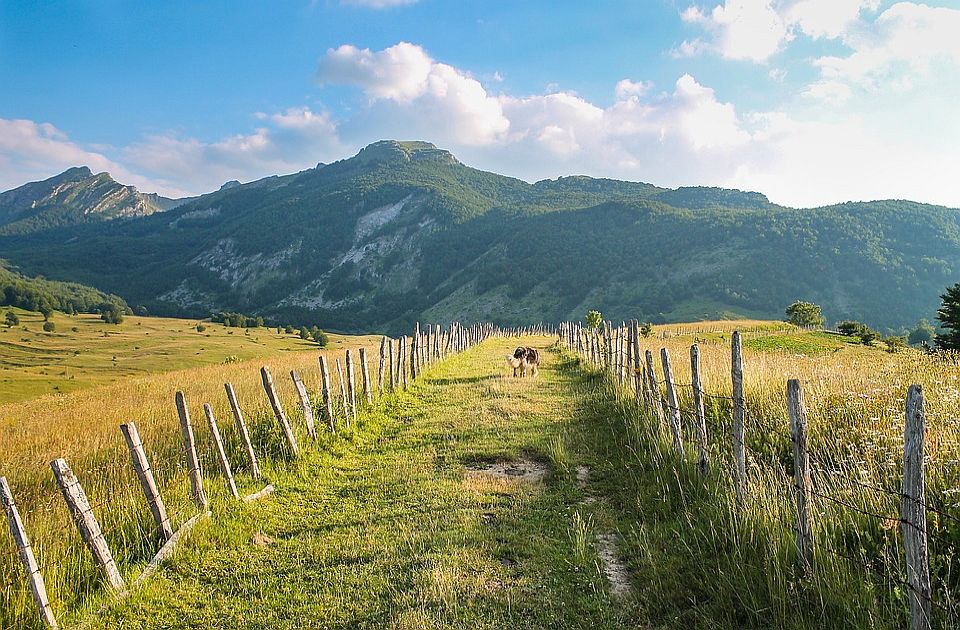 Zbog ljubavi otišla iz Novog Sada, sada vodi najsiromašniju opštinu u BiH