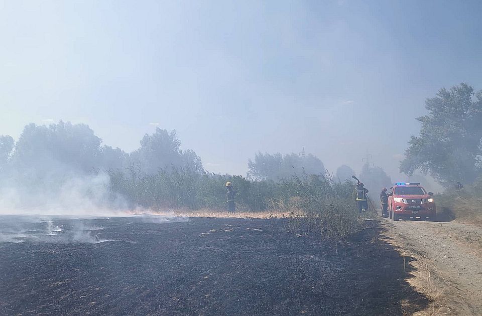 FOTO, VIDEO: Požar u okolini Rafinerije u Šangaju lokalizovan