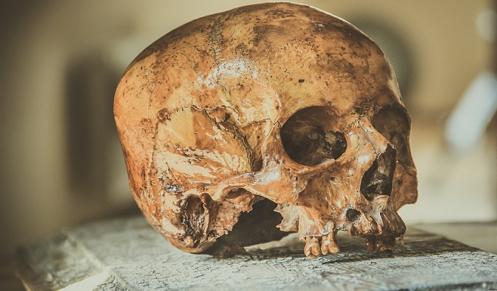 Skelet žene, star 2.000 godina, pronađen na jugu Rusije
