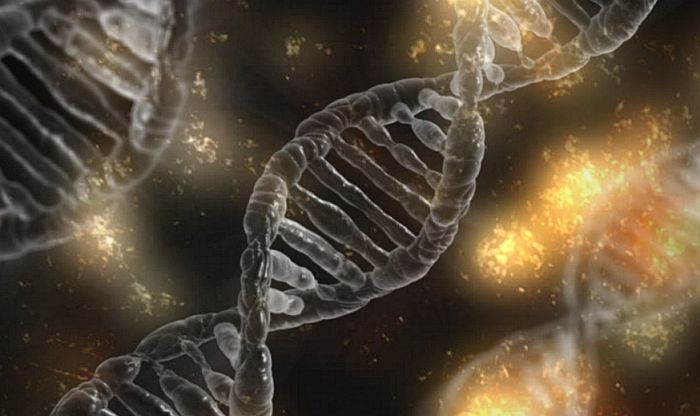 Eksperti od SZO traže bazu naučnika koji menjaju ljudske gene
