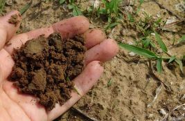 U Švajcarskoj se na tajnoj lokaciji testira kompostiranje ljudskih tela