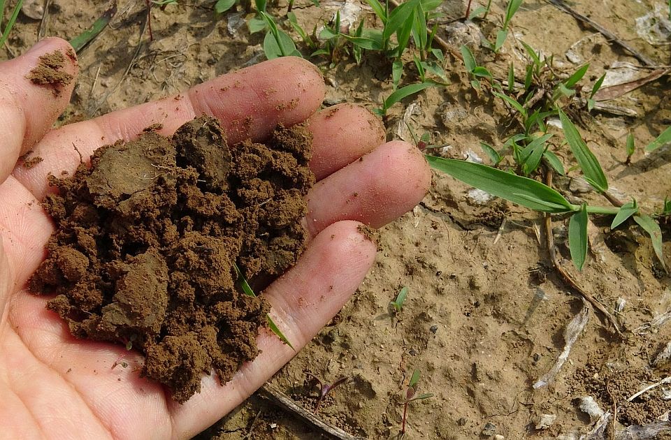 U Švajcarskoj se na tajnoj lokaciji testira kompostiranje ljudskih tela