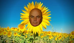 Majstorski shitati: Palmino ulje