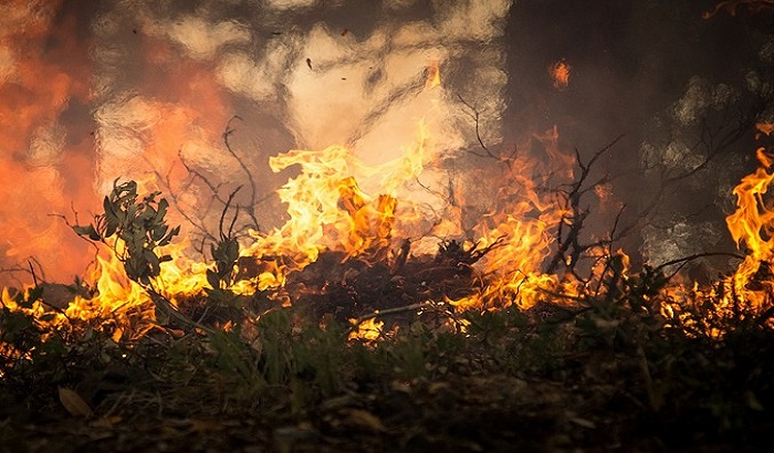 Požari u Kaliforniji oterali 50.000 ljudi od svojih domova