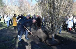 FOTO: Sadnjom 46 stabala na Novom naselju počela akcija 