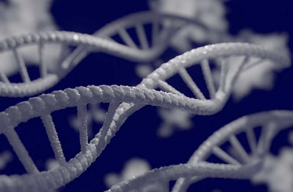 Istraživanje genetskog koda: Broj mutacija može da ukaže na dužinu života?