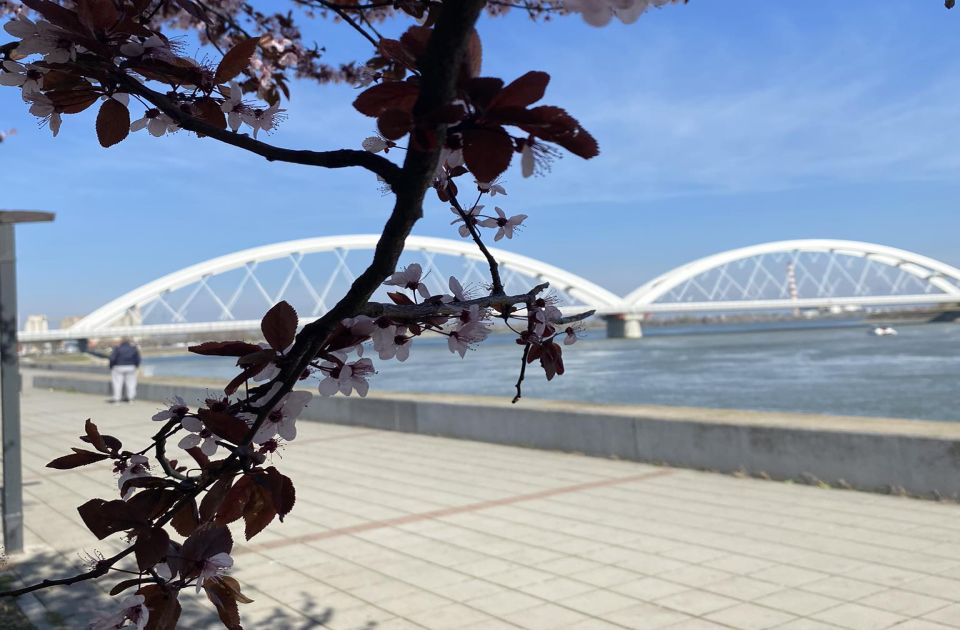 Lepše vreme u četvrtak u Novom Sadu: Šta vas očekuje?