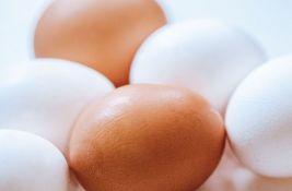 Nova studija: Manji unos proteina mogao bi da doprinese zdravijem starenju