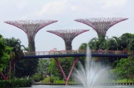 Singapur će zasaditi milion stabala u borbi protiv toplotnih talasa