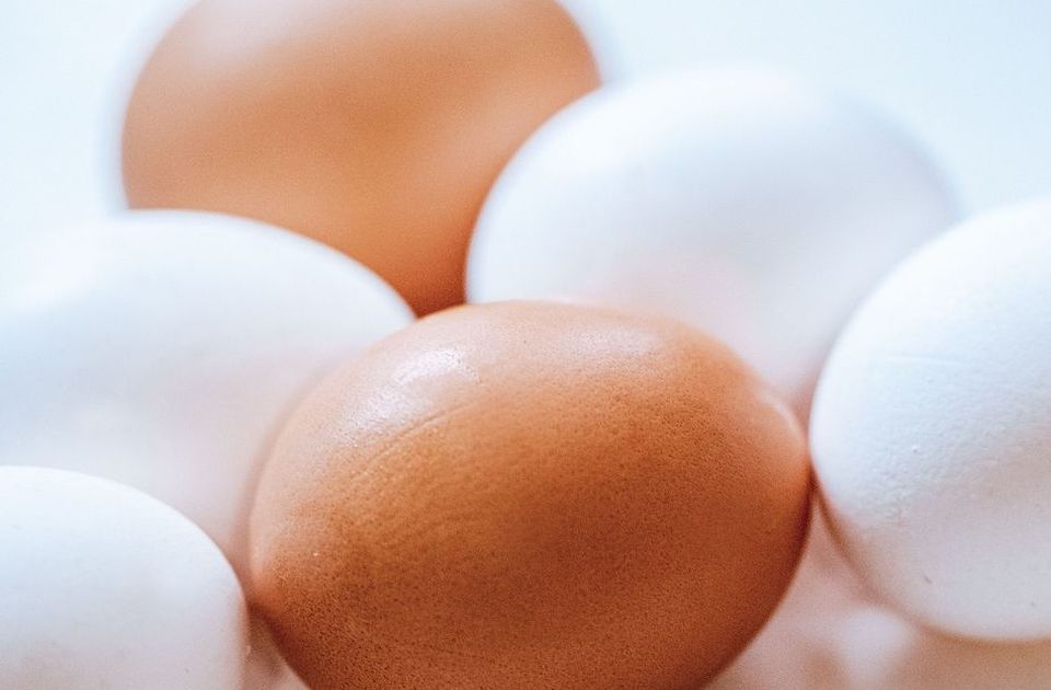 Nova studija: Manji unos proteina mogao bi da doprinese zdravijem starenju