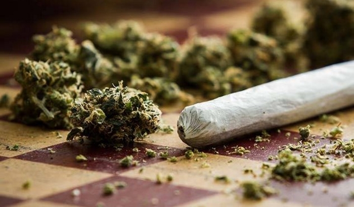 Kod sedmorice zaplenjeno više od 10 kilograma marihuane