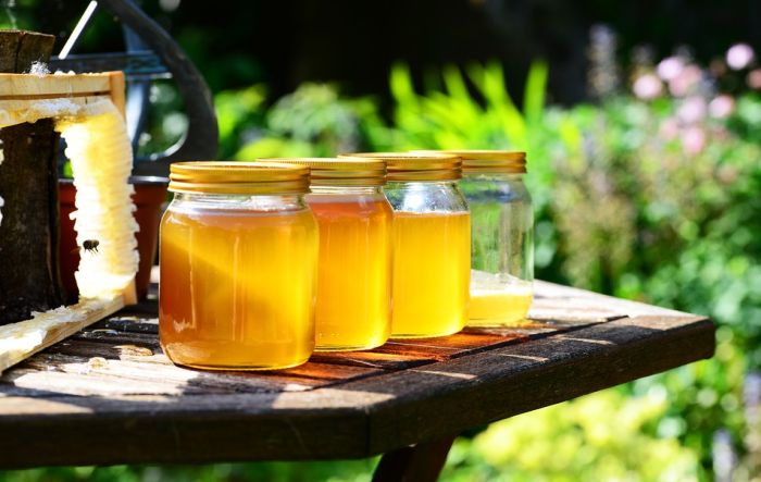 Povećan izvoz meda