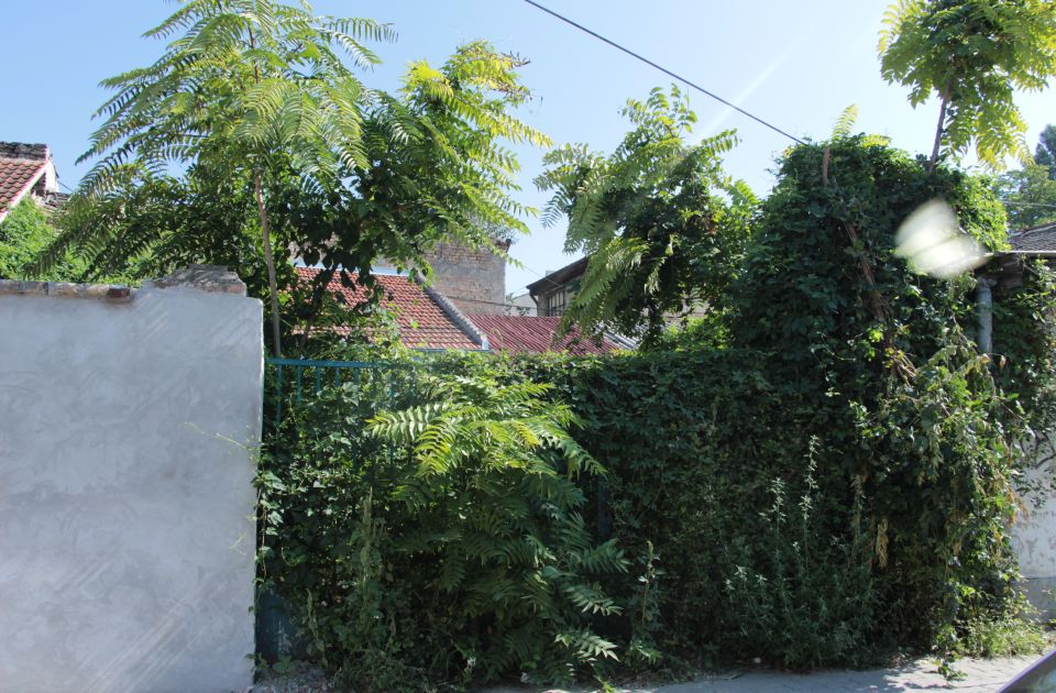 DRI: Srbija plaća penale za neiskorišćena sredstva iz zajma za energetsku sanaciju kuća