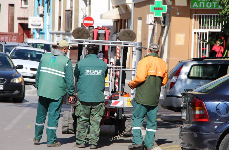 Desetine tužbi protiv Zelenila zbog plata, preduzeće brani narodna poslanica Biljana Pantić Pilja