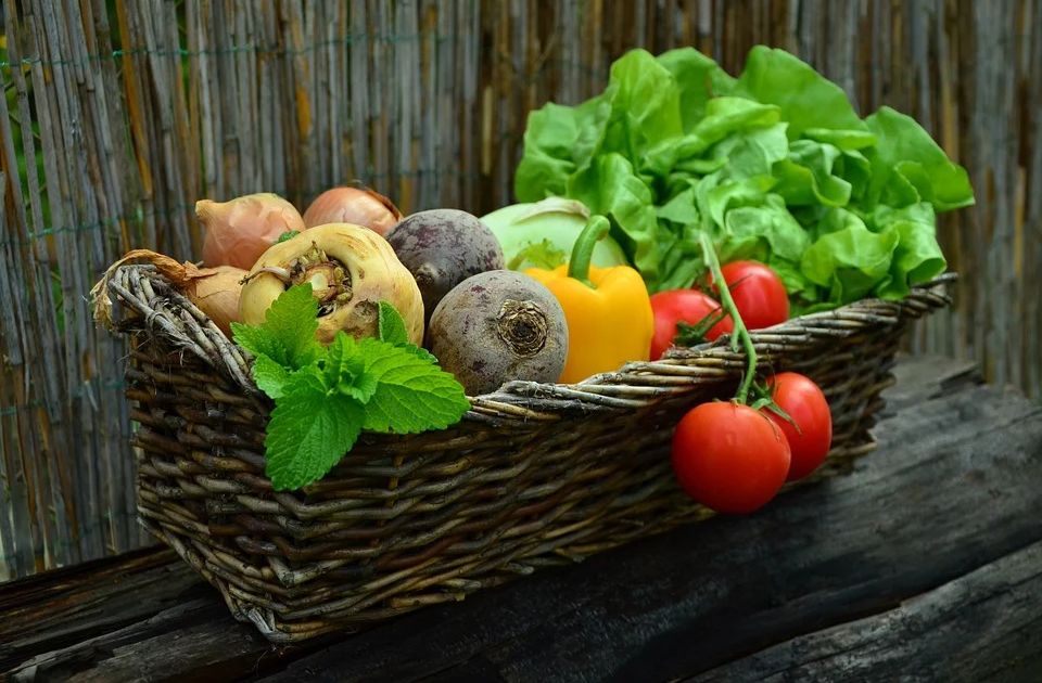 PIK Bečej kupio 'ABC Food'