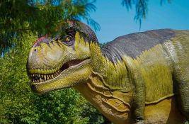 Otkrivena nova vrsta dinosaurusa: Menja saznanja o porodičnom stablu triranosaurus reksa