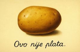 Profesori novosadskih fakulteta primili sramno male plate: Ni za kafu nije ostalo