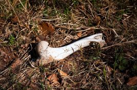 Skeleti stari šest milenijuma nađeni u Kolumbiji imaju drugačiju DNK od drugih ljudi