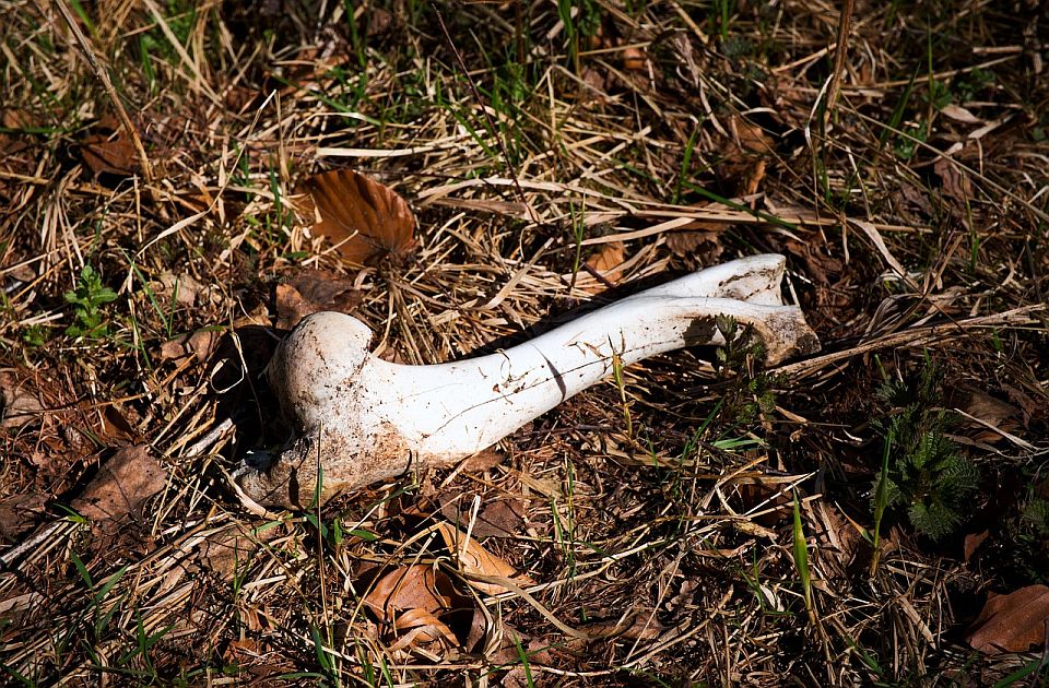 Skeleti stari šest milenijuma nađeni u Kolumbiji imaju drugačiju DNK od drugih ljudi