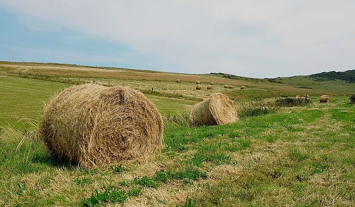 Kako je državna zemlja postala crkvena