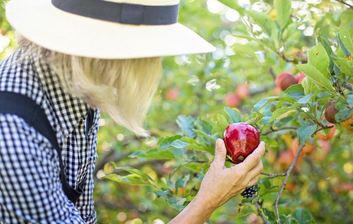 Srbija i zemlje u regionu sve više uvoze sezonske radnike