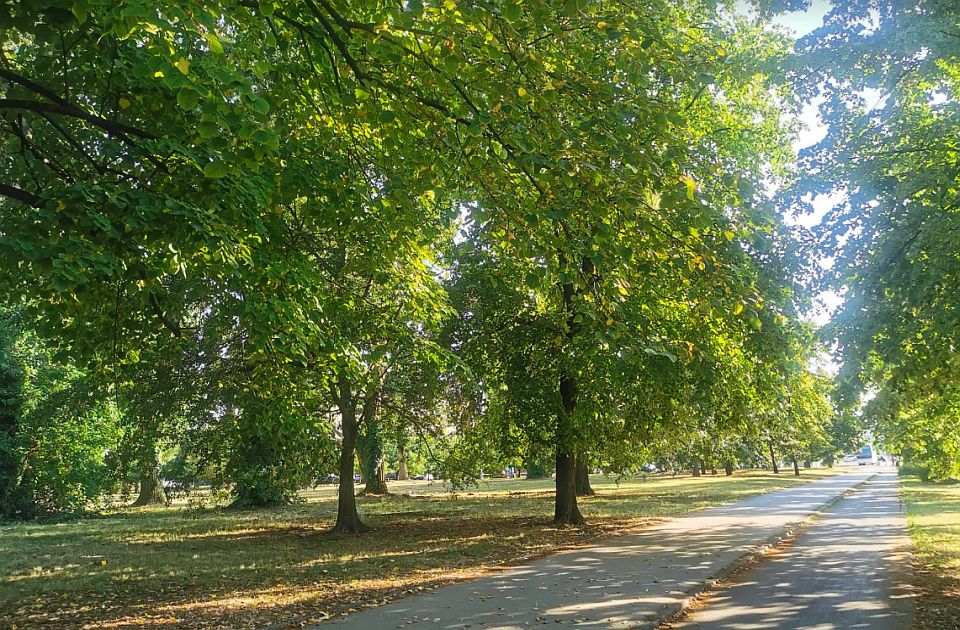 Odlučeno: Budući Univerzitetski park projektovaće poznata novosadska firma, posao od 12 miliona