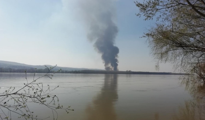 FOTO, VIDEO: Veliki požar u Beočinskom ritu, vatrogasci na terenu