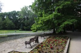 Sunčana sreda pred Novosađanima: Lep dan za kulturna dešavanja