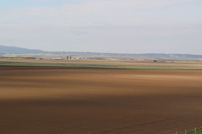 Njive sve manje plodne, Vojvodina bi za pola veka mogla da postane pustinja
