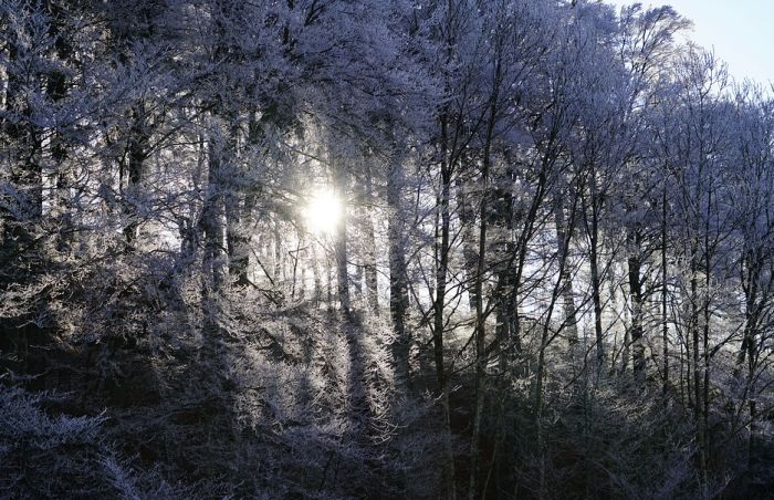 Sutra još tmurno i veoma hladno, od četvrtka sunčano i toplije