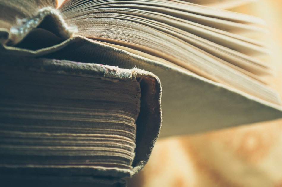 Objavljen uži izbor za nagradu Nikola Milošević za 2025. godinu