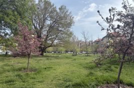 VIDEO: Novosađanin od zapuštenog prostora na Limanu napravio parkić: 