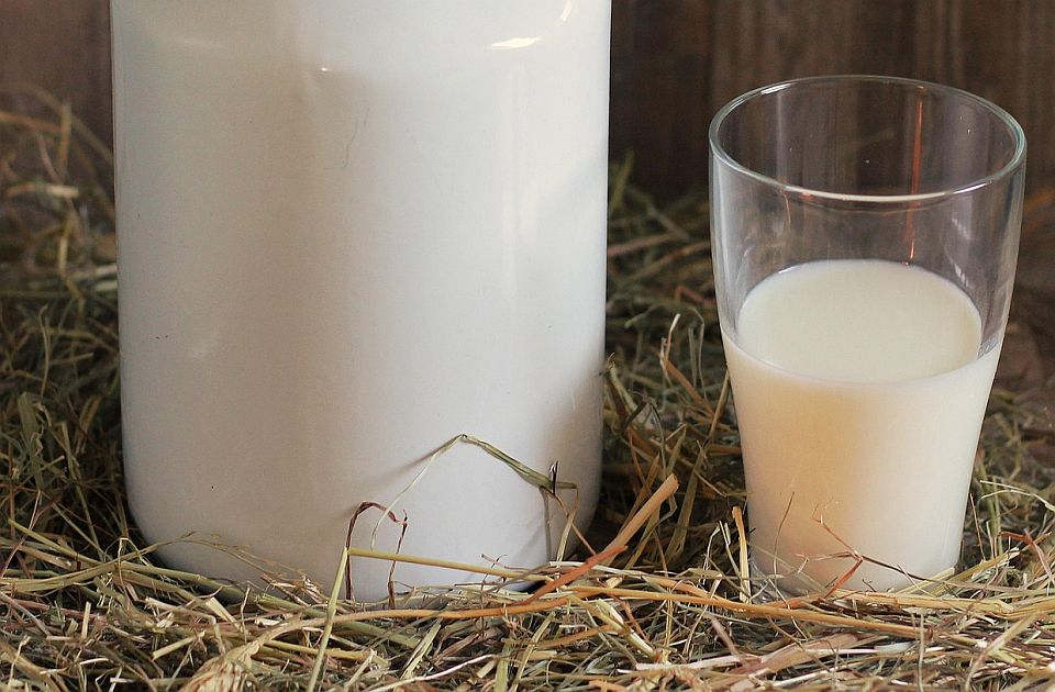 Otvoren javni poziv za premiju za mleko za prvi kvartal